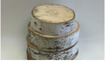 POPPLE SLABS QUANTITY: 30 RENT: $1 EACH