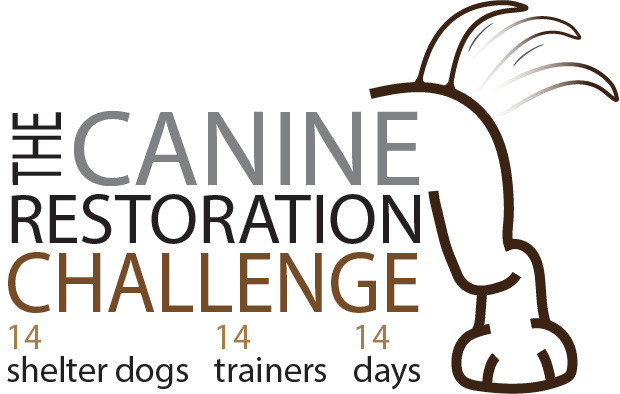 Canine Restoration Challenge, Glenn Massie