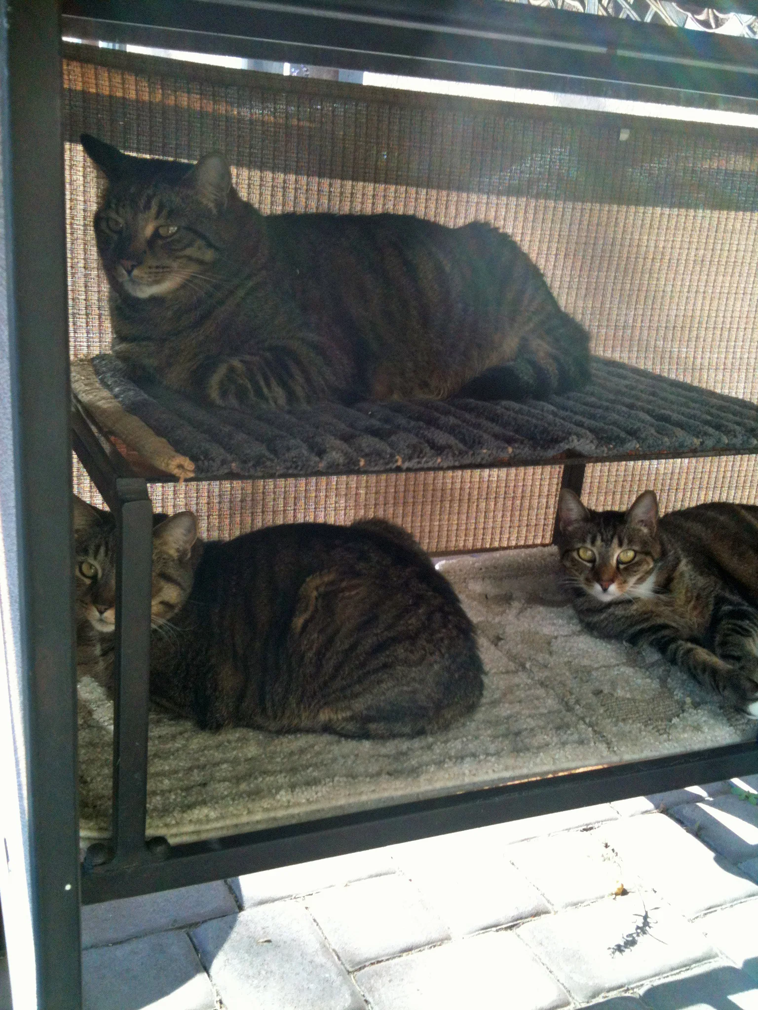 OUTDOOR BUNK BEDS