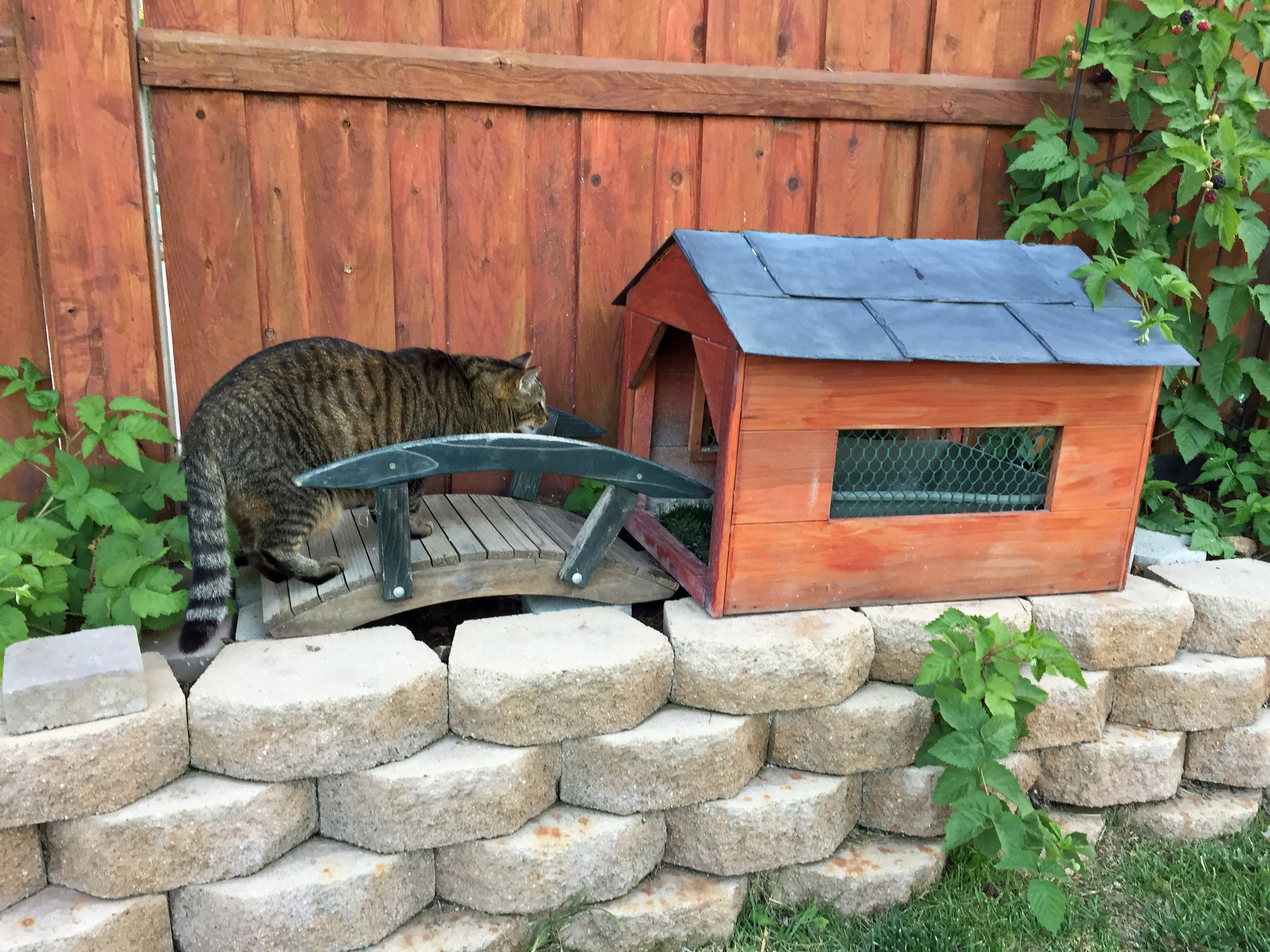 OUTDOOR LITTER BOX