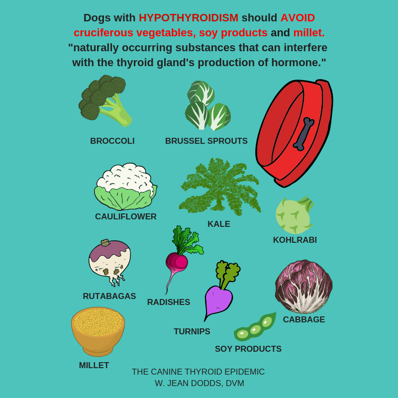 hypo thyroid vegs HS .png