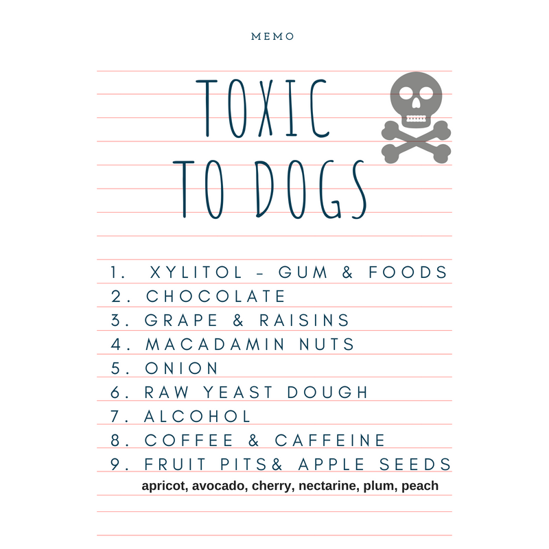 harmful foods.png