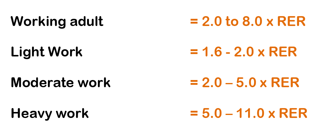 2 small animal clinical nutrition - working.png