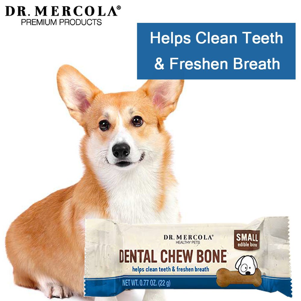 mercola healthy pets dog dental bones