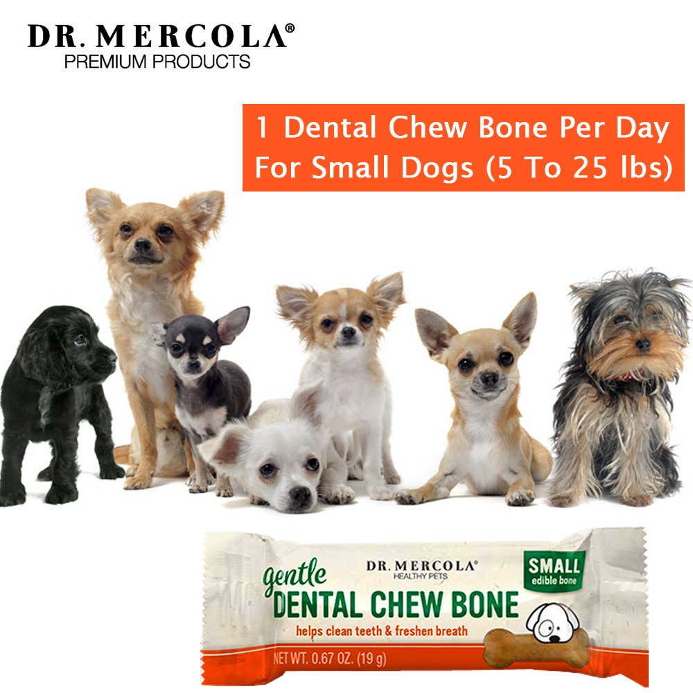 dr mercola dental chew bones