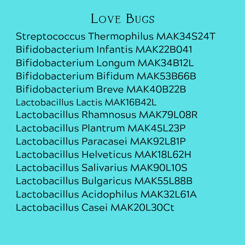 love bugs.png