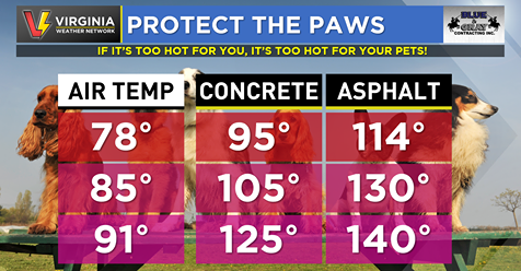 https://vawx.net/protect-the-paws?fbclid=IwAR3D8kcVL05CUNJ2s5DoO1OctQkDQkabvCPHf6f0BMS1tVgnumHNr1SZd2o