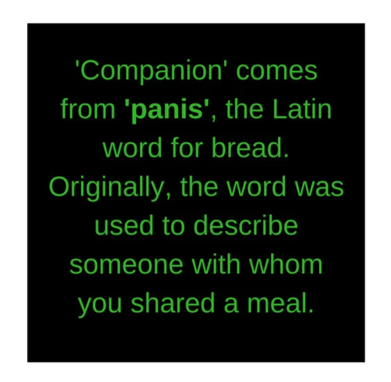 https://www.merriam-webster.com/words-at-play/history-of-word-companion