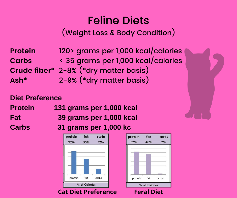 Cat Diet Plan For Weight Loss Cat Calorie Counter