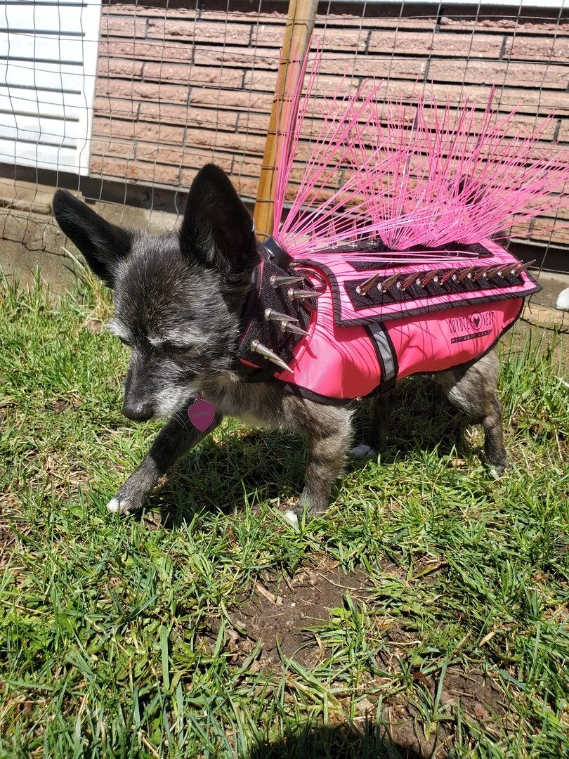 coyote proof dog coat