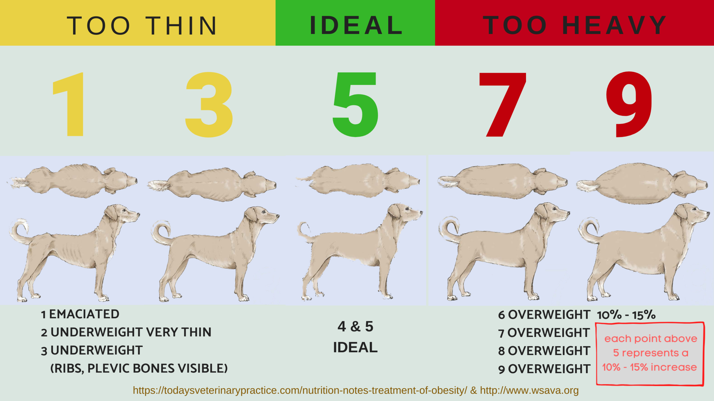 The Dog Exercise Guide