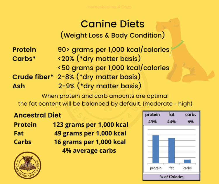 How Much Should You Feed Your Dog? [+ Canine BCS Chart]