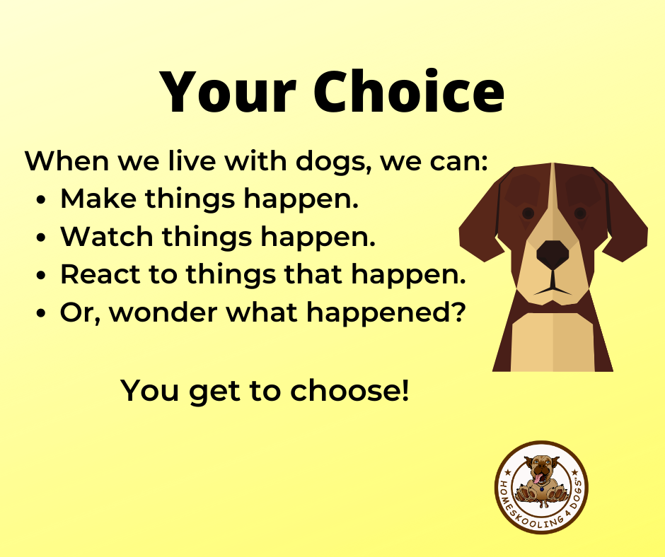 Why Are Dogs So Important