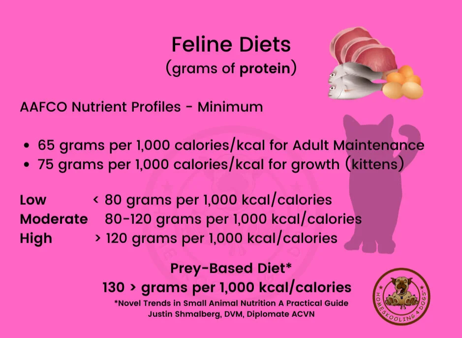 38+ Animal Nutrition And Feeding Worksheet Answers Psikyolalola