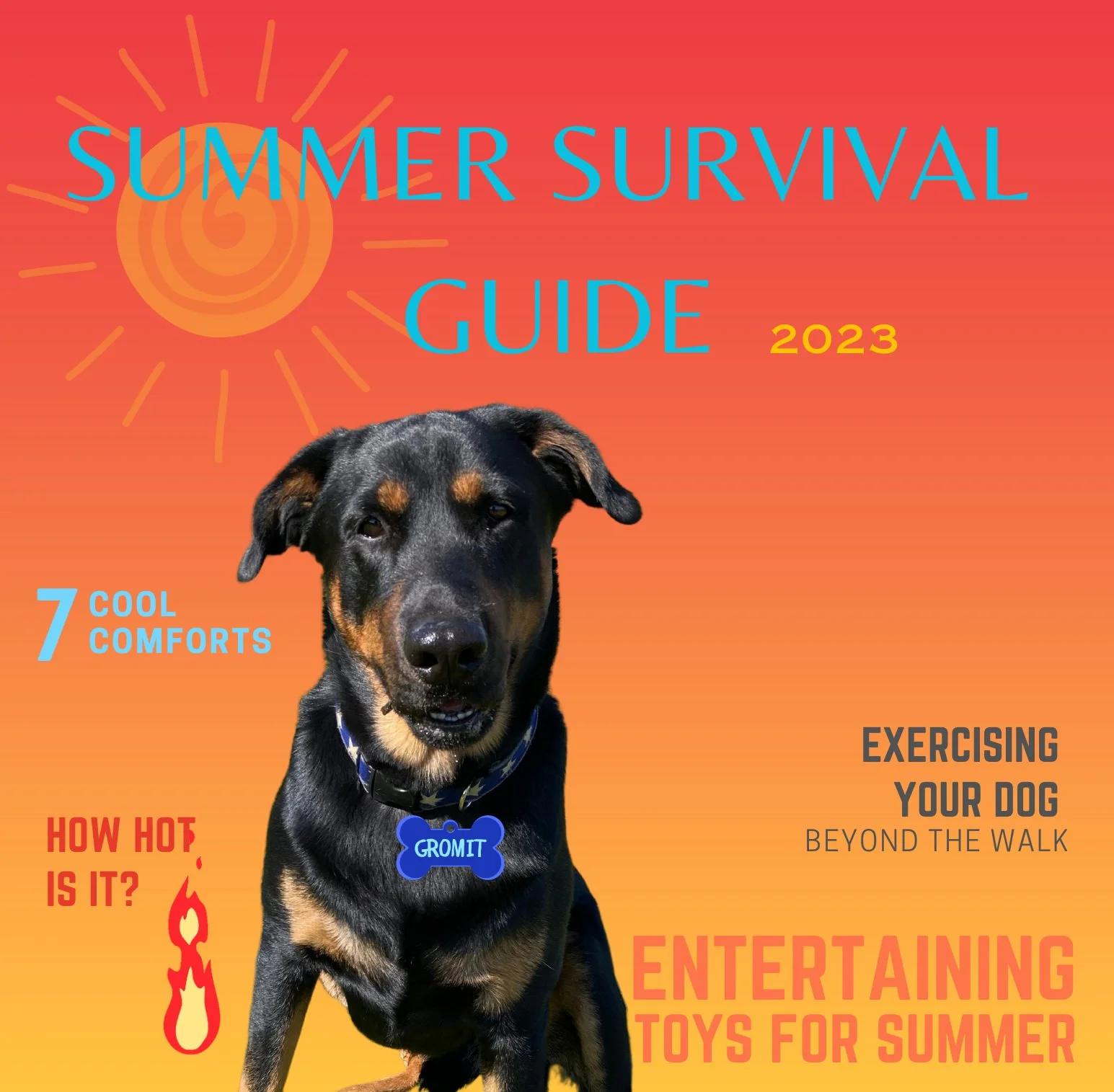 Summer+Survival+Guide+Cover.jpg