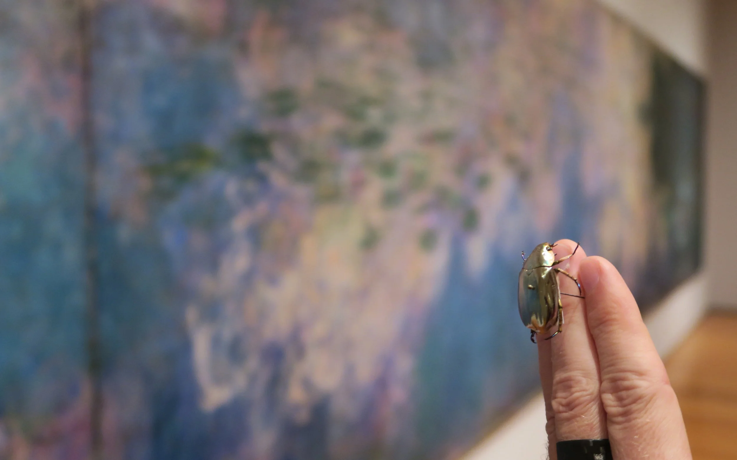 IMG_2255-small.jpg