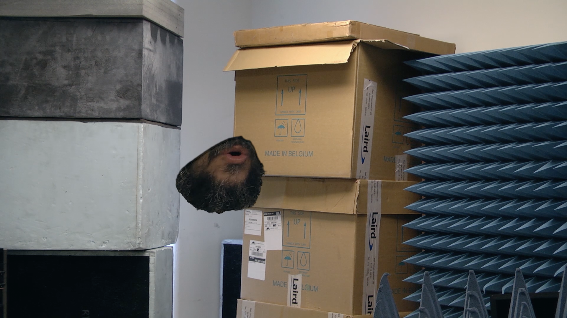 pursedbeard.png