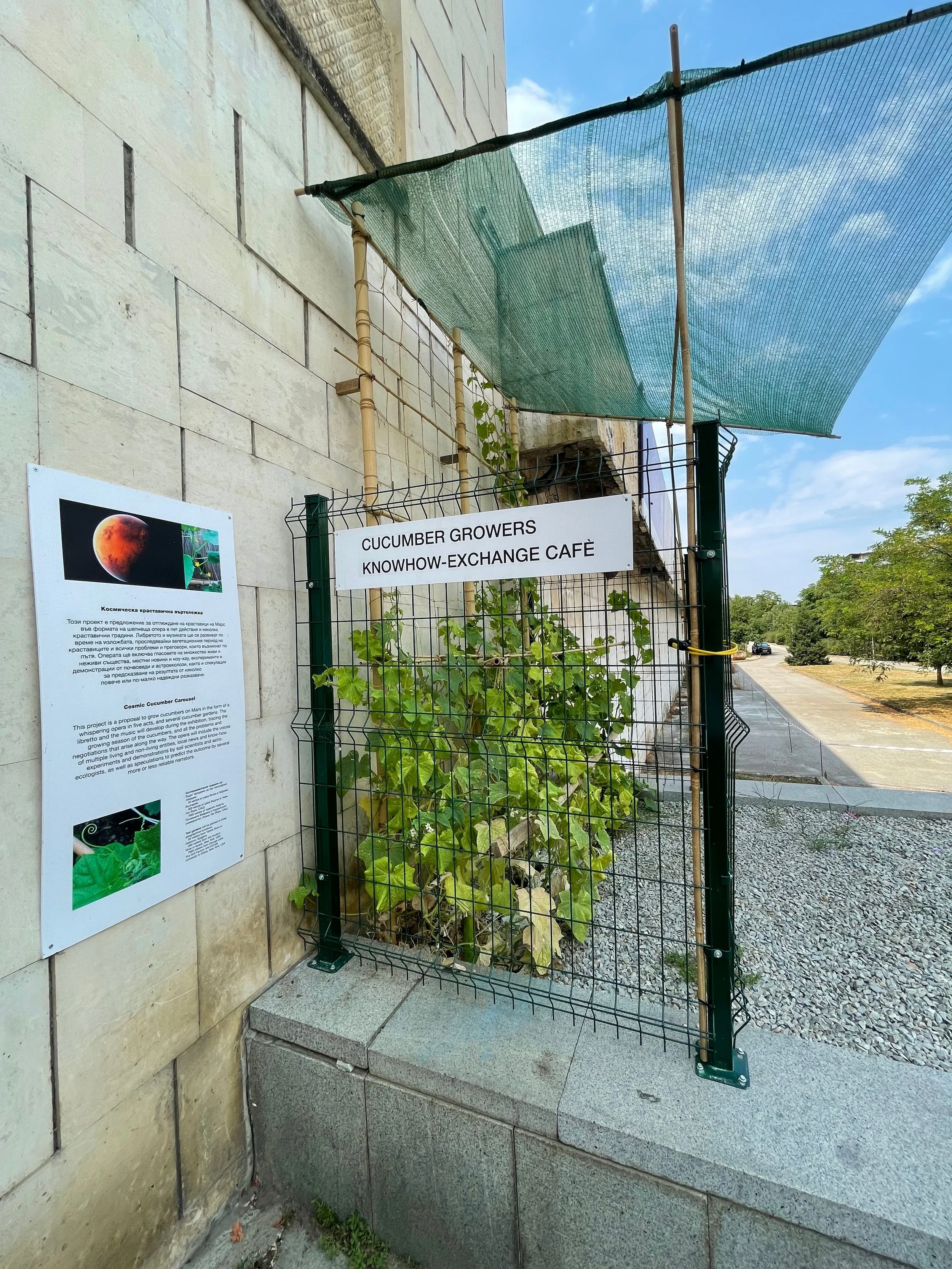 11_CCC-5 IMG_4101.jpg