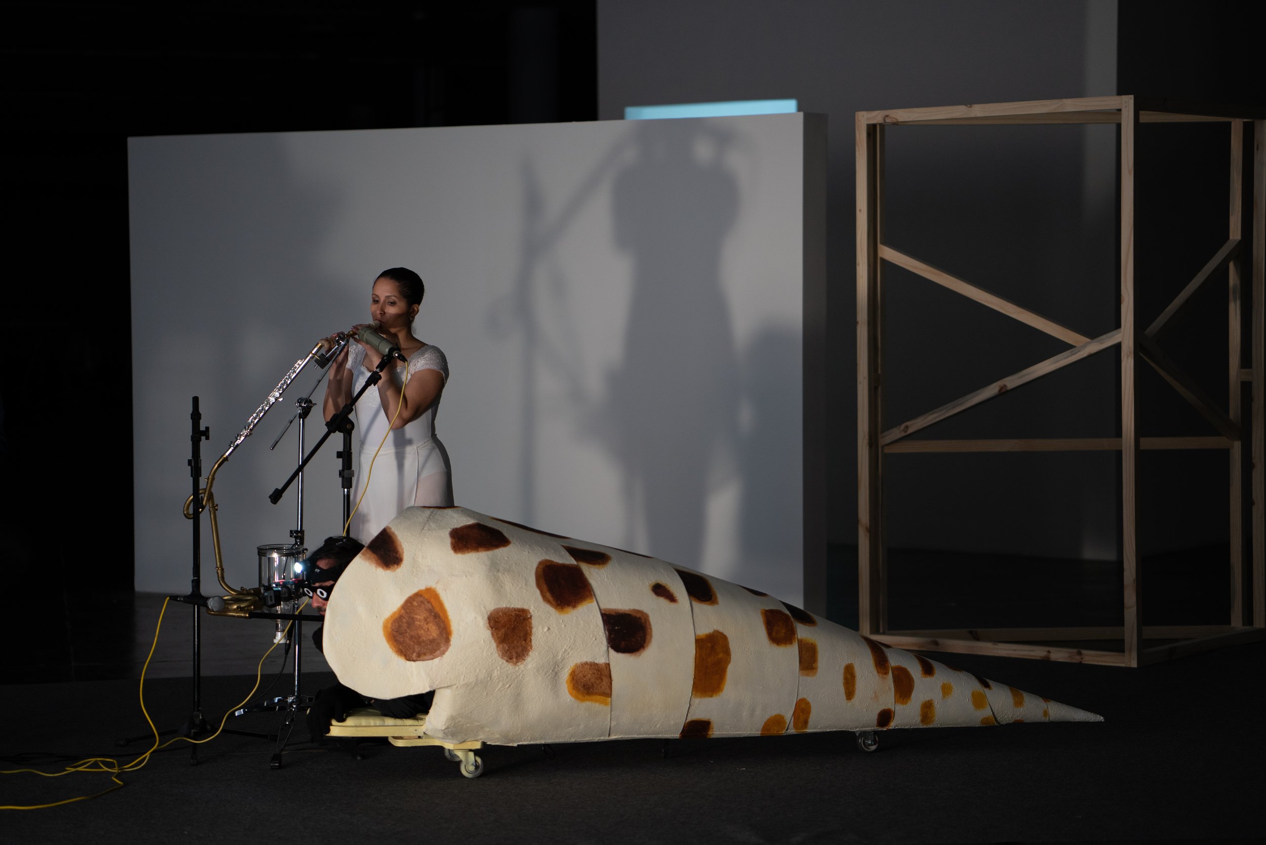 01_Bozhkov-SB 14 - performance SP 33.jpg