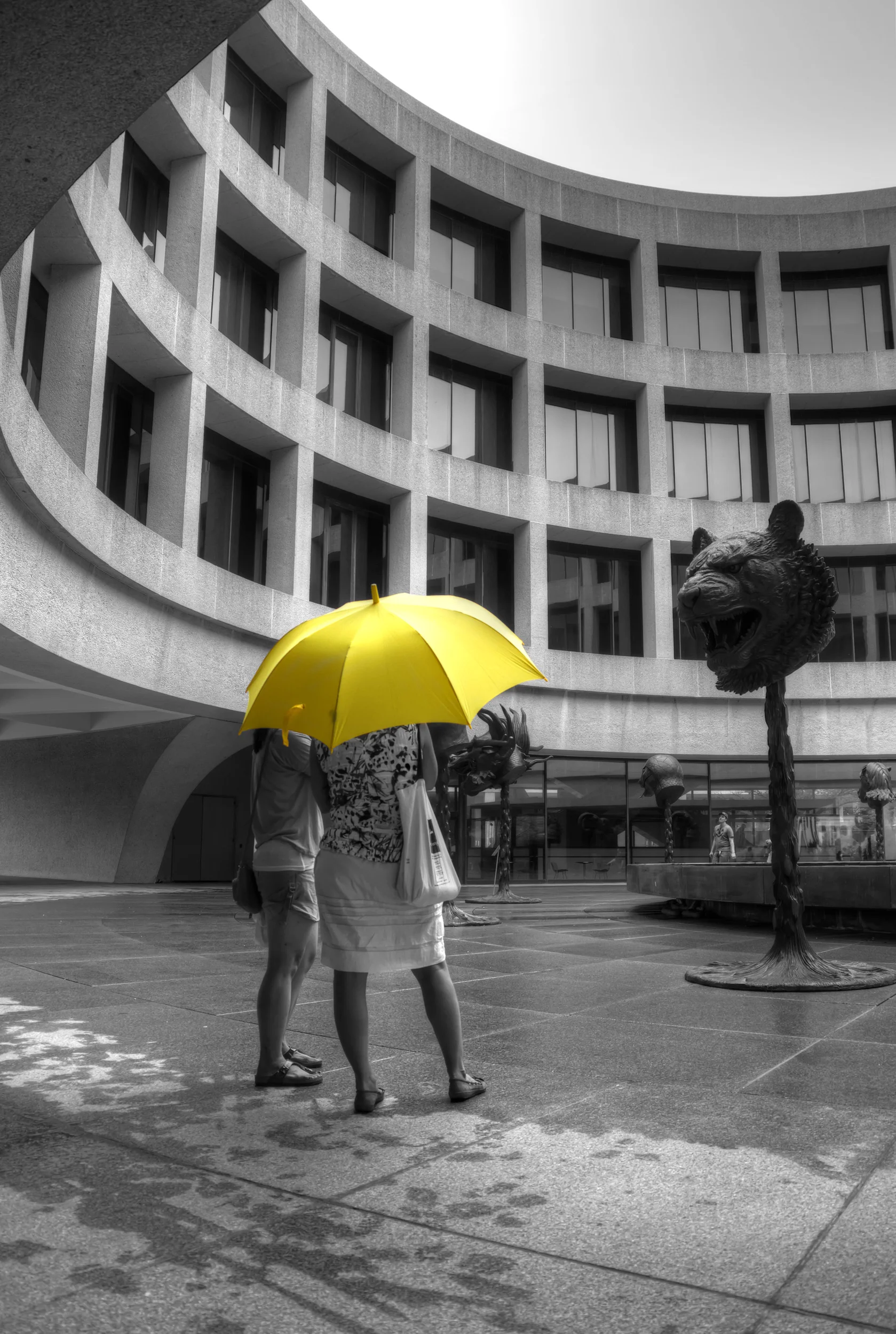 Yellow Umbrella