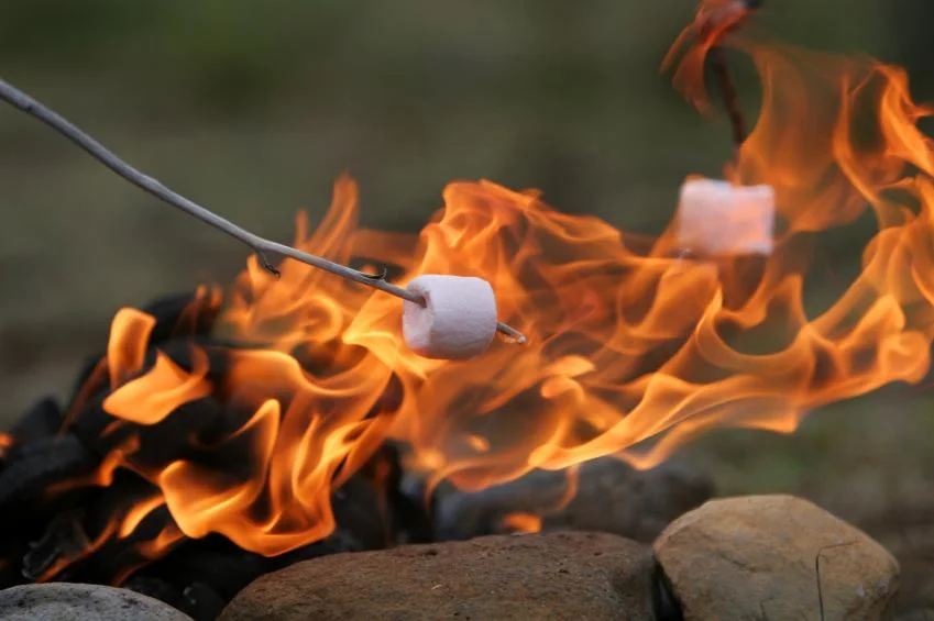105725-849x565-MarshmallowRoast.jpg