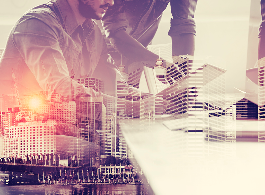 The public-private partnership model