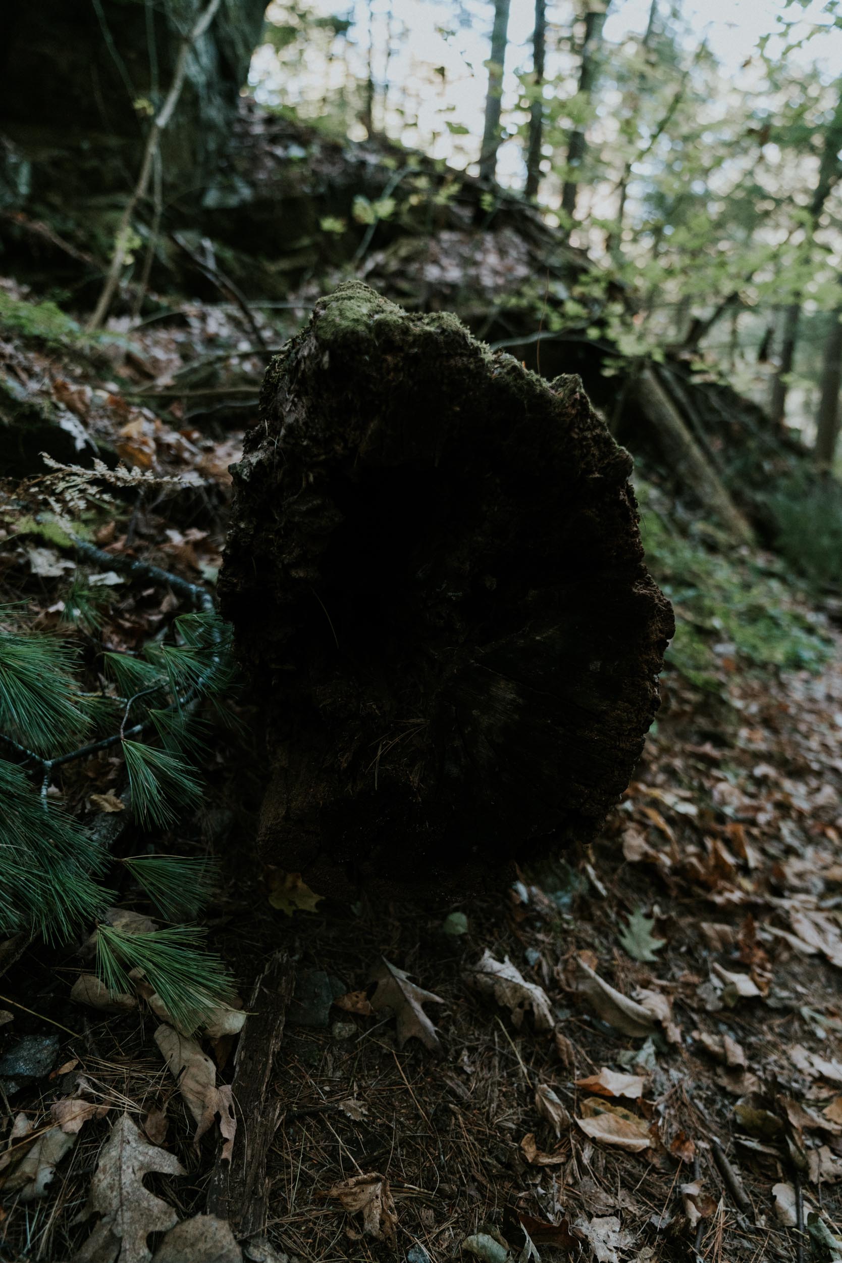 Bledsoe vermont Elopement-113.jpg