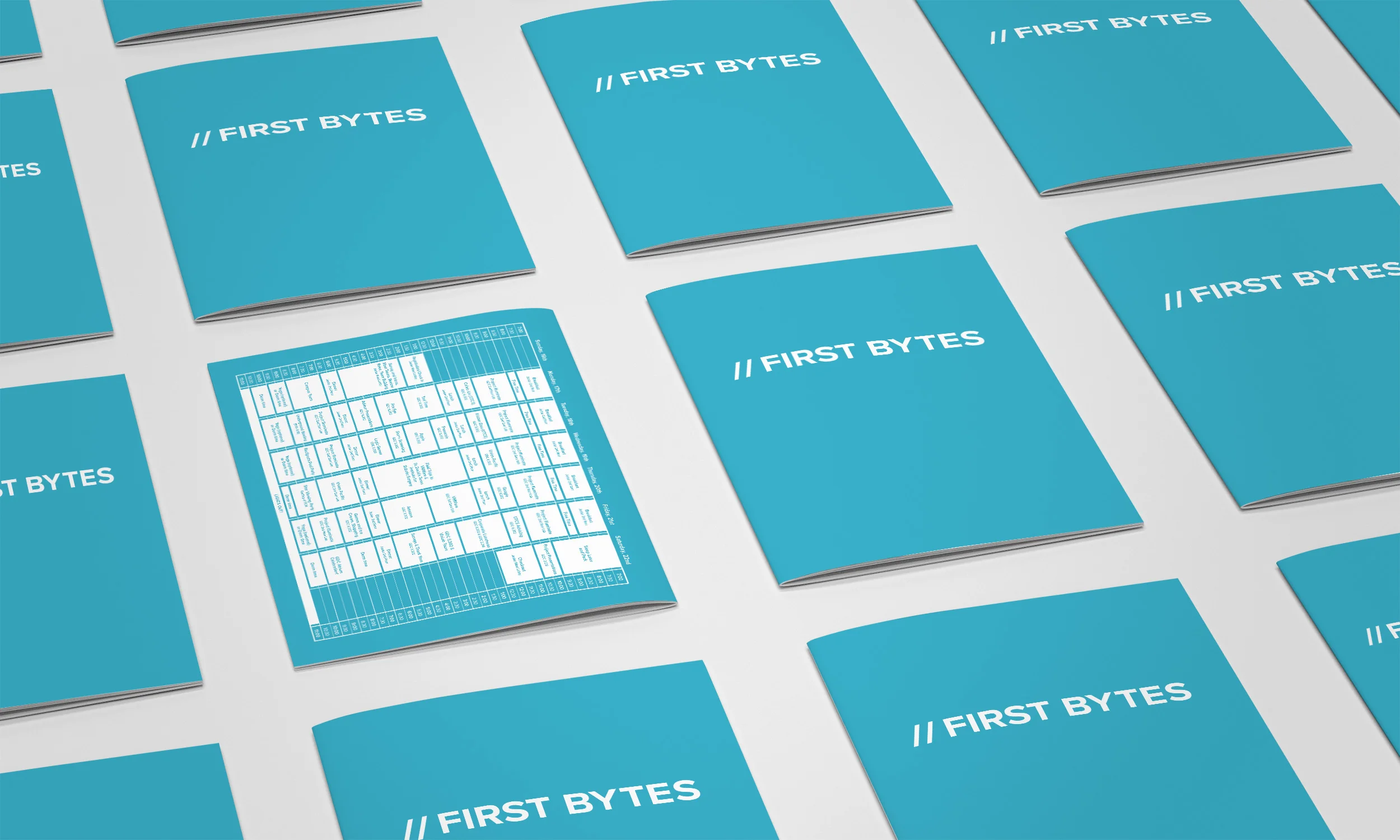 Booklet-Grid.jpg