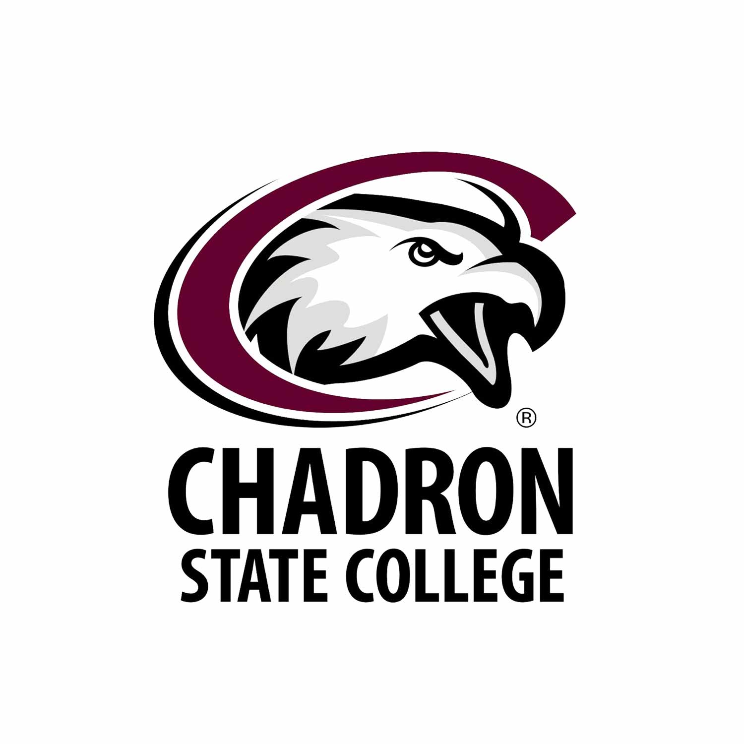 dr-sara-hartsaw-chadron-state-college.jpg