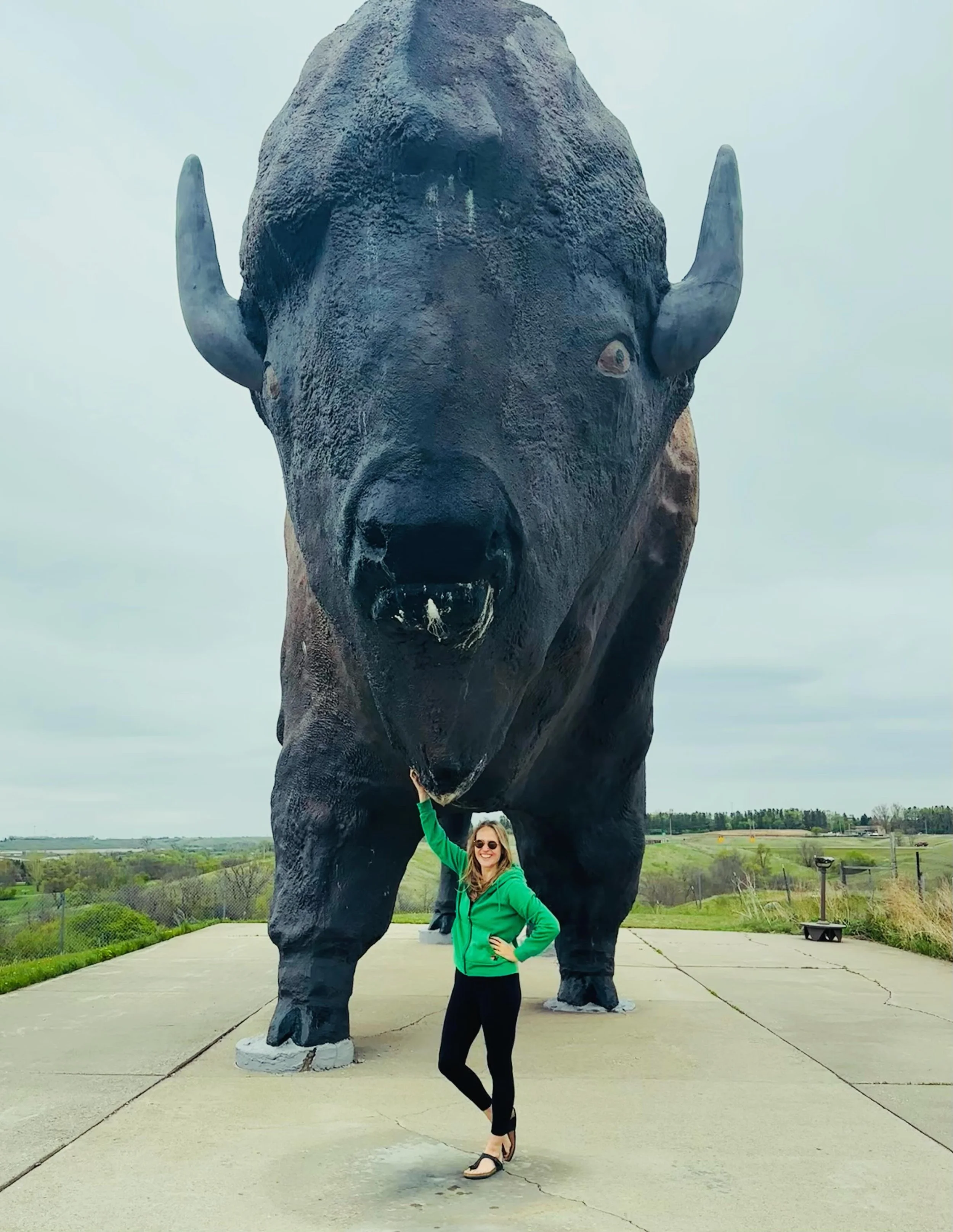 Badlands, ND 

Baby prairie dogs &amp; bison 

The road trip has begun