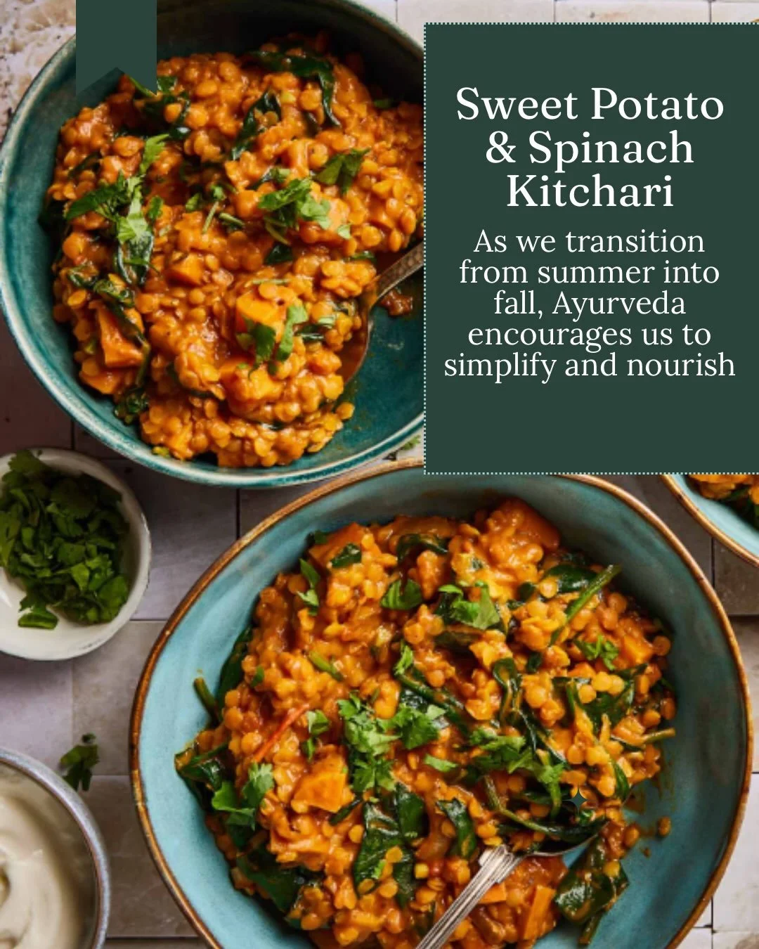 As we transition from summer into fall, Ayurveda encourages us to simplify and nourish.

A kitchari monodiet is one traditional way to support the seasonal shift. Warm, nourishing, and easy to digest, kitchari gives your meals a simple rhythm while a