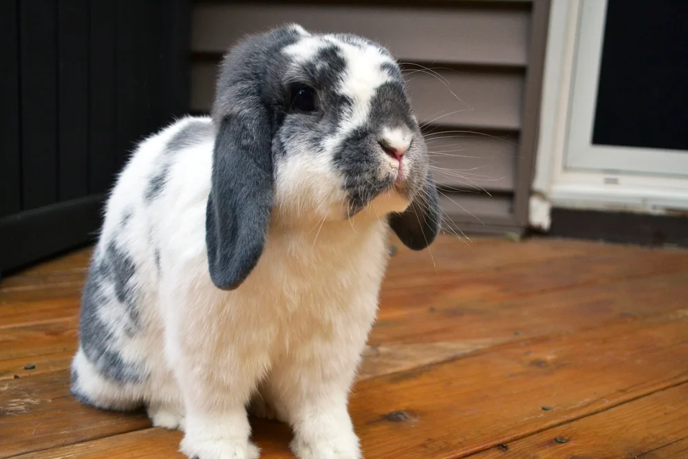 All About Jess — Journey With Jess | Inspiration for your Creative Side