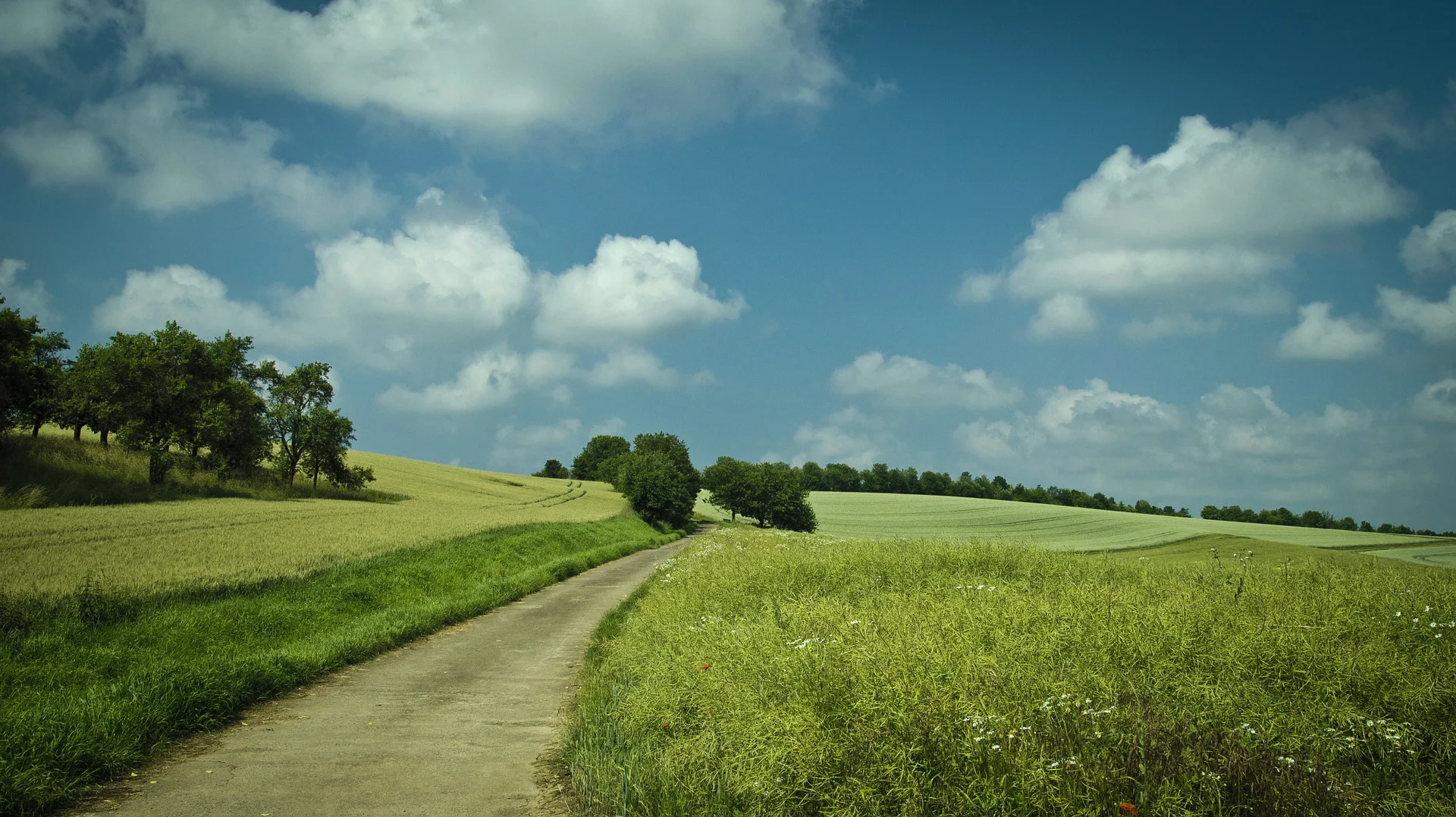 Voila! You're all finished! Here's the final image.