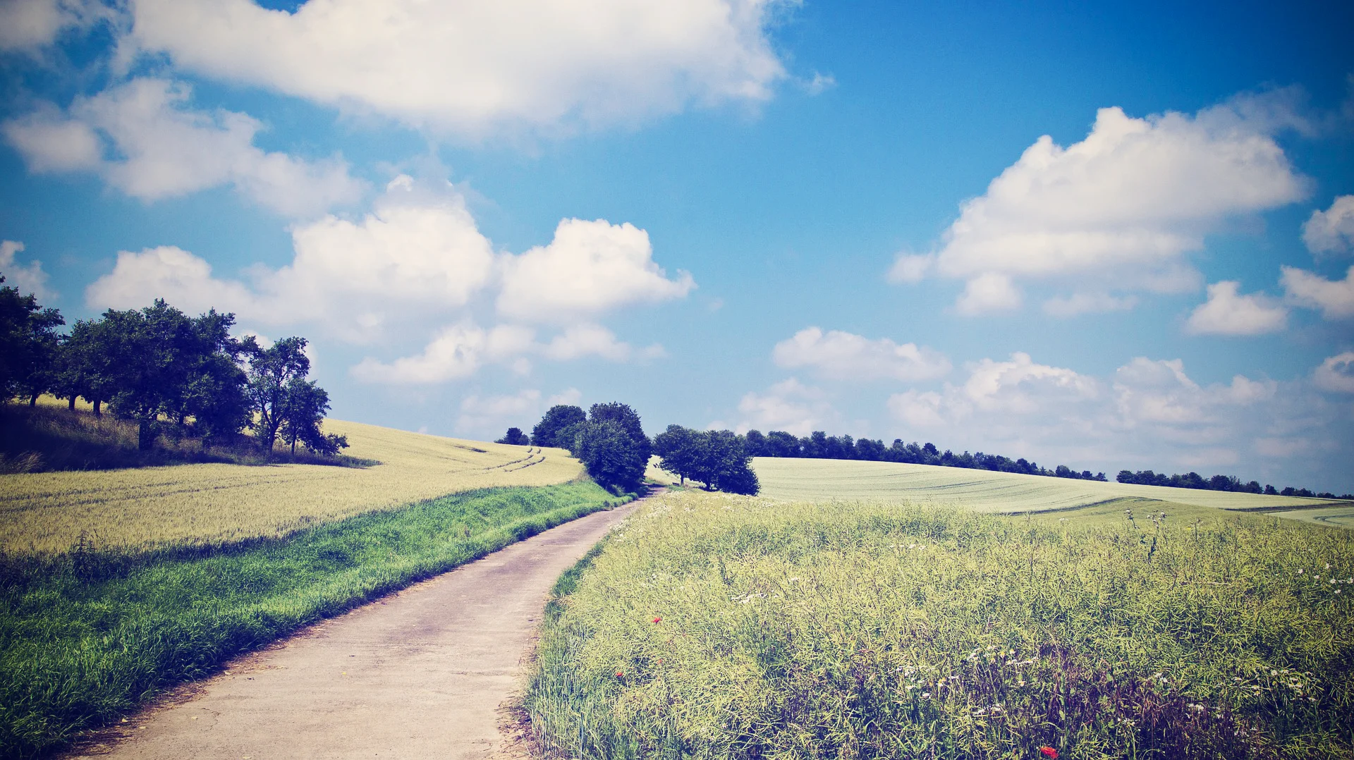 You did it! Here's the final image.