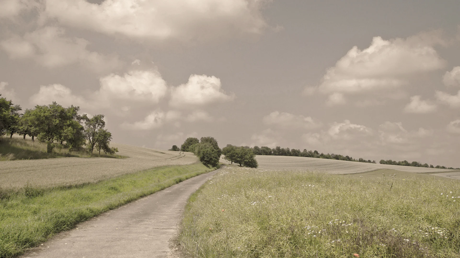 Great job! Here's the final dusty-washed out image.