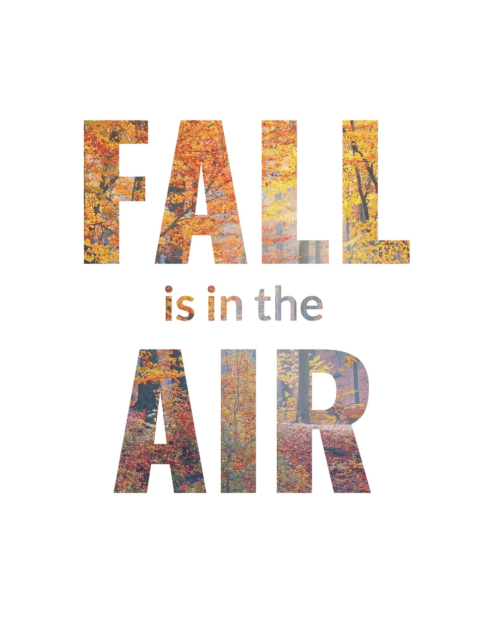 Free 8×10 Fall Printable Set — Journey With Jess | Inspiration for your ...