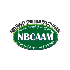 NBCAAM-logo-300px.jpg