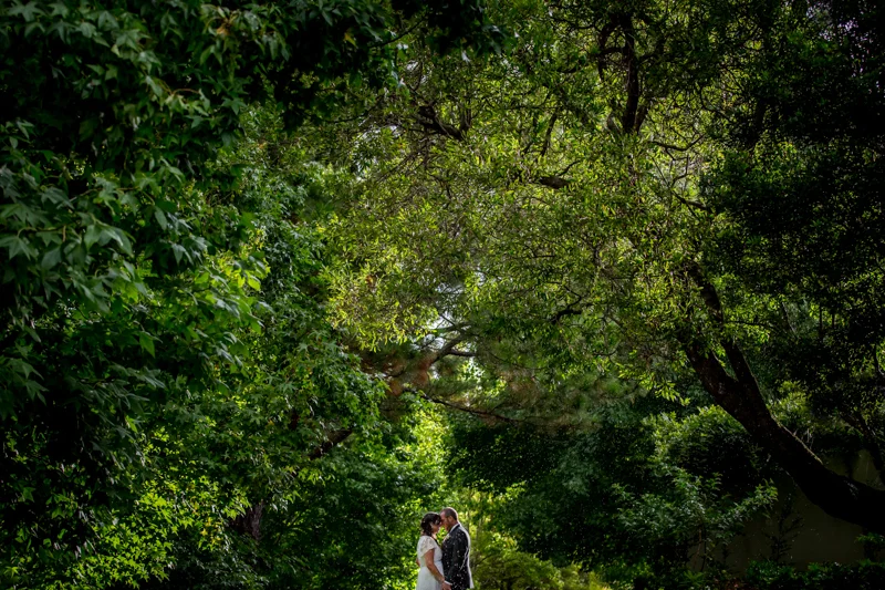 Spicers Clovelly Estate Wedding Photographer - Lee  & Peter