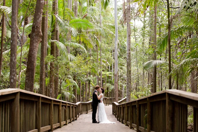 Buderim Forest Wedding - Nicole & Bradley