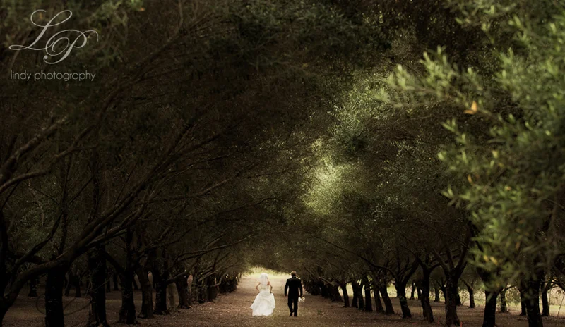 Noosa and Sunshine Coast Wedding Photographer