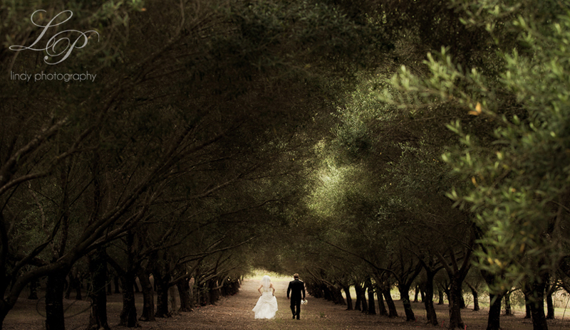 18-Esk-Wedding.jpg