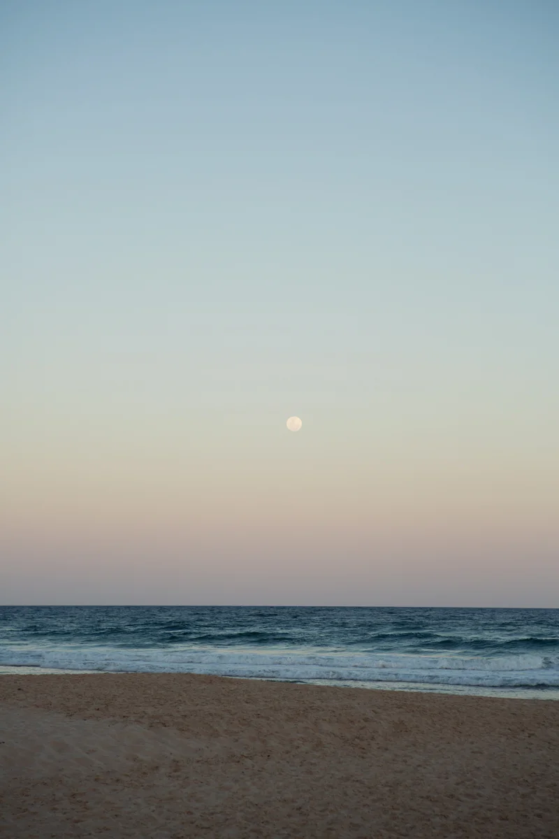 Sunshine-Beach-Wedding-Photographer 386
