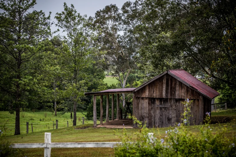 Noosa_Hinterland_Jessica_Timothy 10