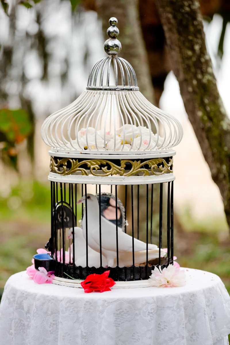 sue_cornel_noosa_wedding-118