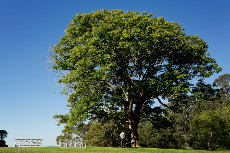 Maleny_Manor_Wedding_Blair_Lance-7-1.jpg