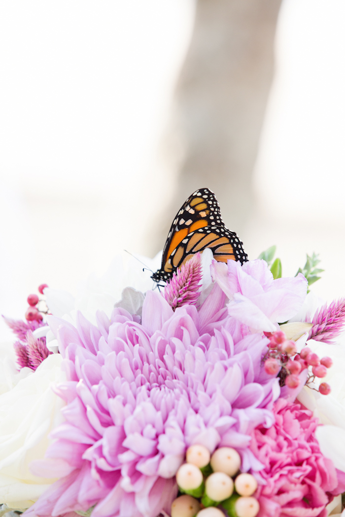 Noosa-Elopement-Liliana-&-Stephen-108.jpg