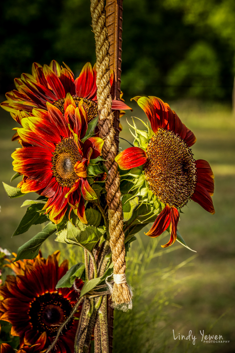 Epic Noosa Hinterland Wedding 42.jpg