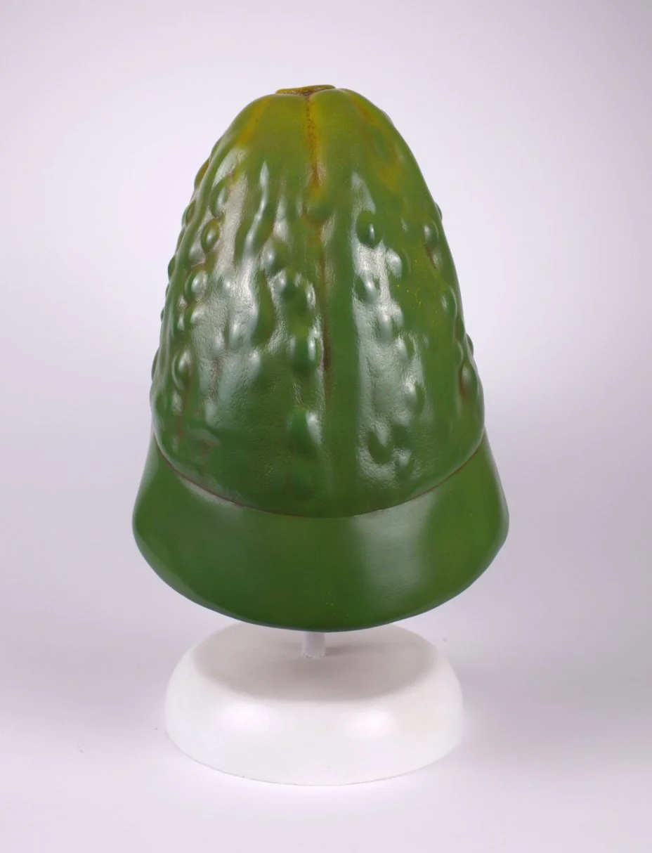 Cornichonjon2(1).jpg