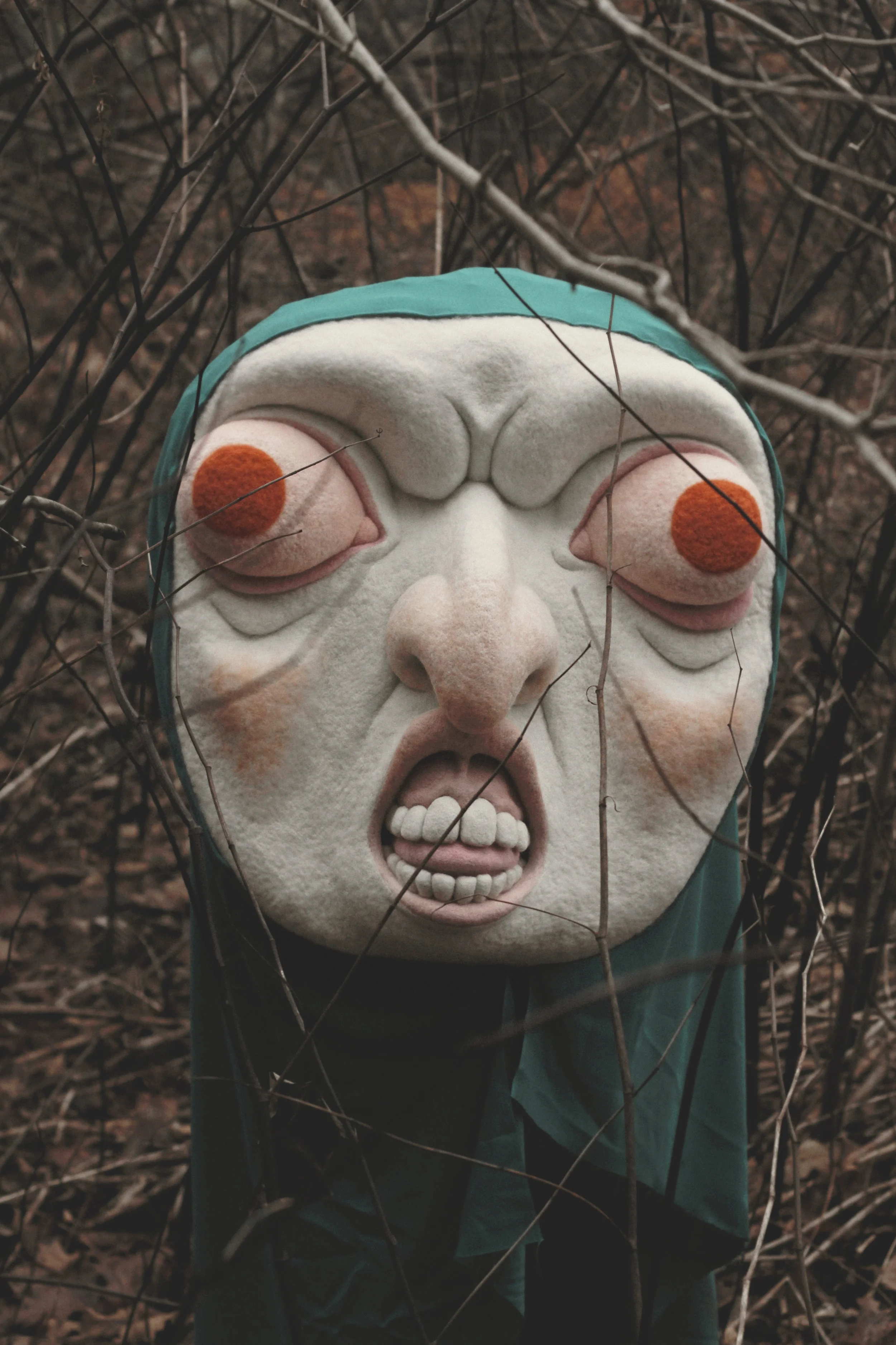 Baba of The Woods. Photos by Tifani Truelove