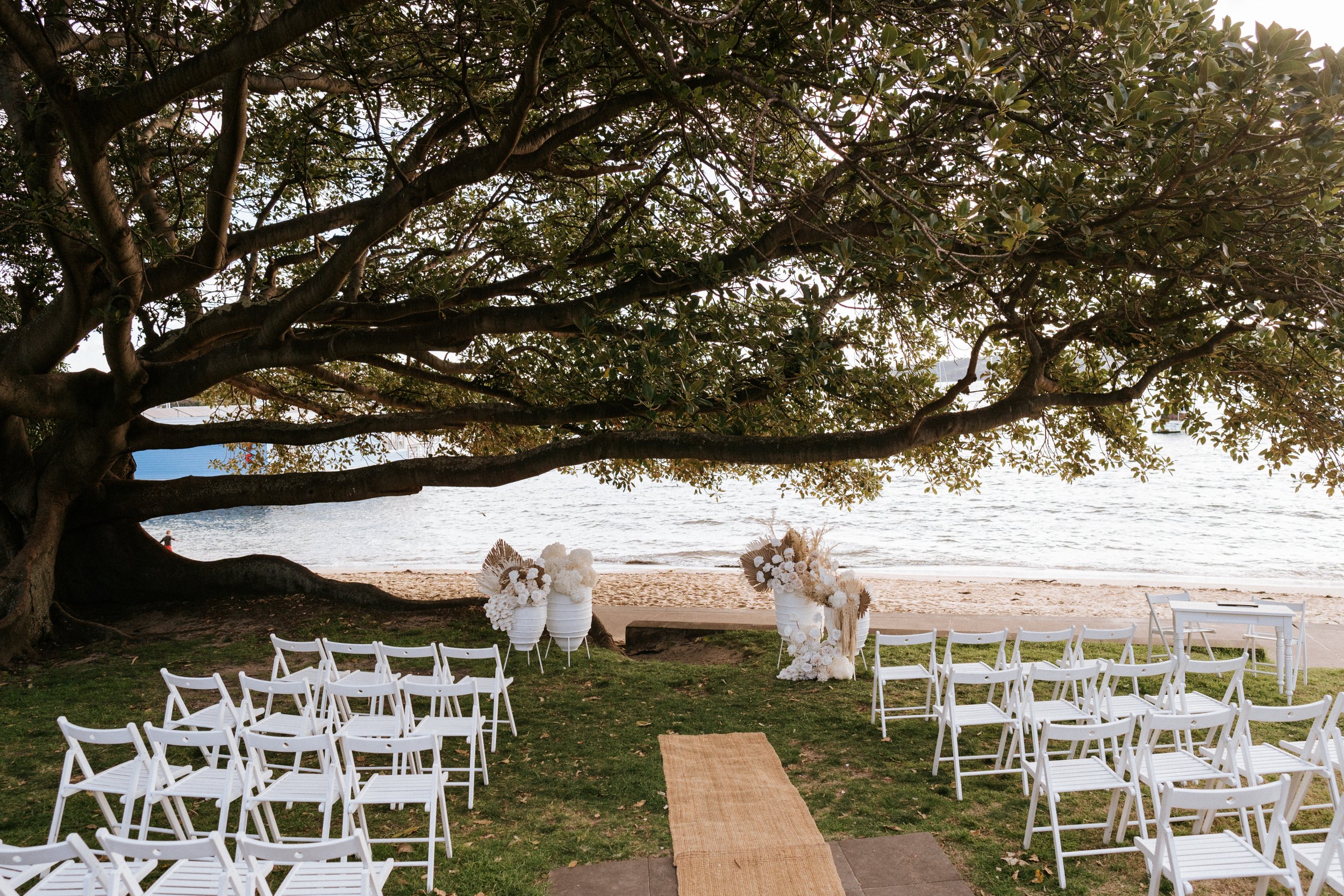 FIG TREE,  Watsons Bay | 